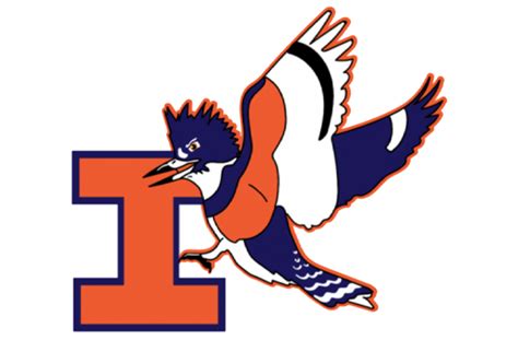 The Kingfisher's Representation of Resilience and Strength at Illinois